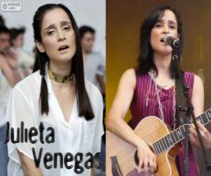 yapboz Julieta Venegas, Meksikalı bir şarkıcı olduğunu